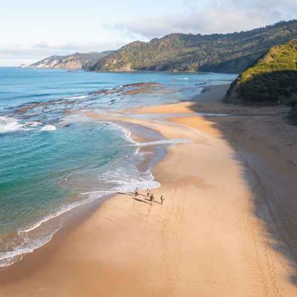 Milanesia Track to Moonlight Head