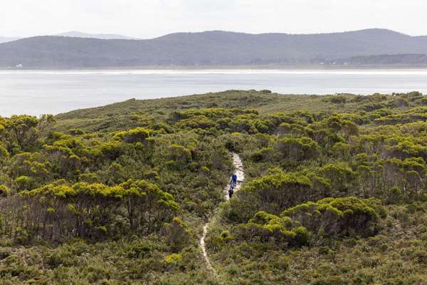 Bruny Island Family Friendly Walk