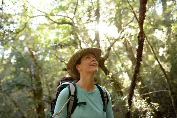 Cradle Mountain Sacred Geography Walk