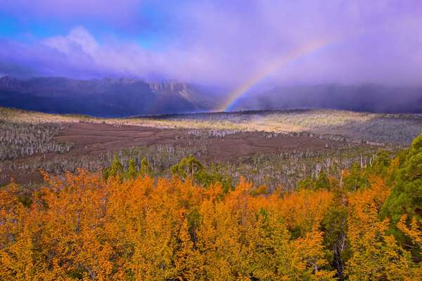 Cradle Mountain Limited Edition