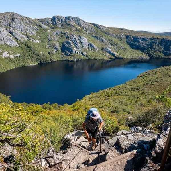 Waldheim to Barn Bluff Hut