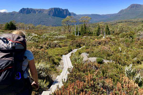 Walk for the Peter MacCallum Cancer Foundation