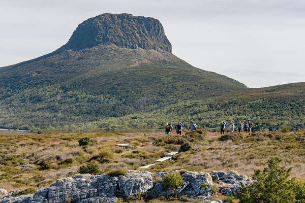 Cradle Mountain Doctors' Walk