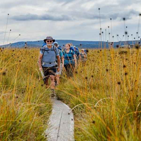 Pine Forest Moor Standing Camp to Pelion Hut