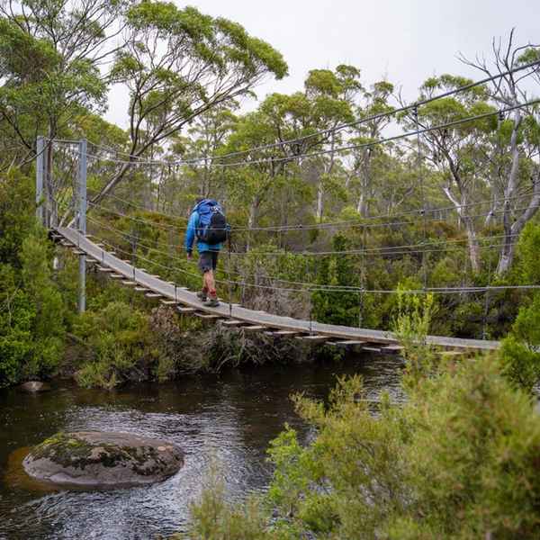 Book Cradle Mountain Signature Walk