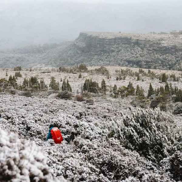 Pine Forest Moor Hut to Pelion Hut