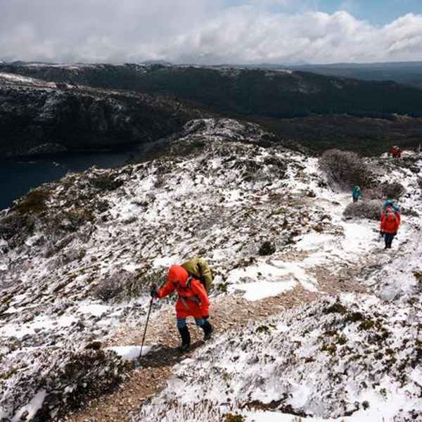 Cradle Valley to Barn Bluff Hut