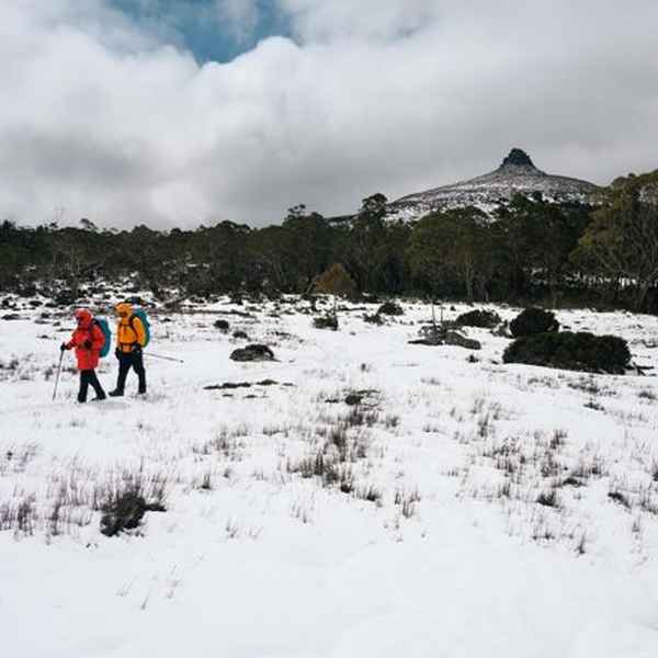 Pelion Plains Hut to Kia Ora Hut