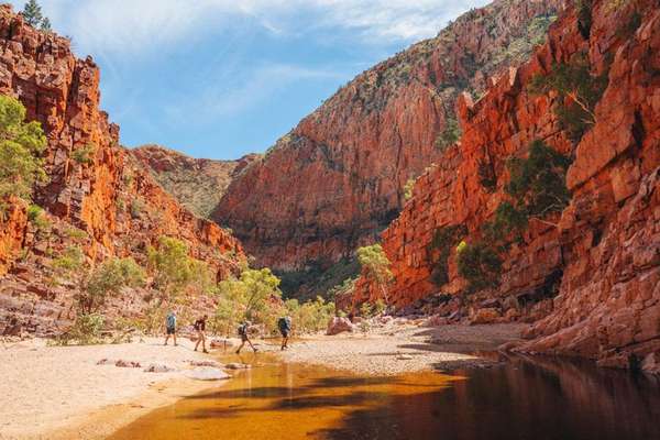 Larapinta Signature Walk