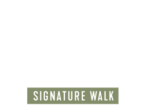 Larapinta Signature Walk
