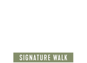Three Capes Signature Walk