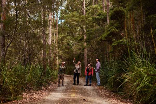 Bruny Island Birds, Wildlife and Conservation Walk