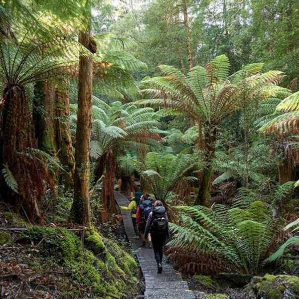 Cape Pillar Lodge - Fortescue Bay