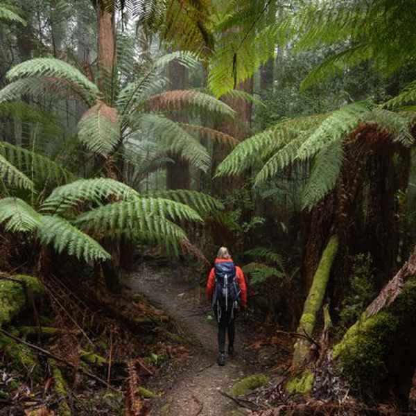 Crescent Lodge - Fortescue Bay