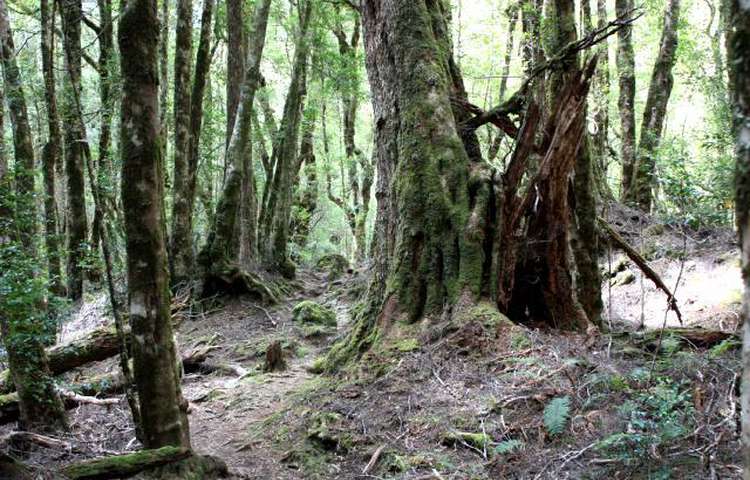 Lord of the Rings country