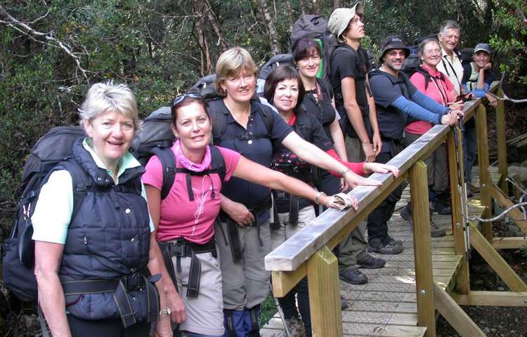the group in the forest