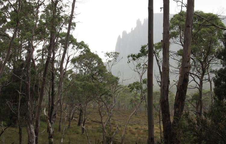 Mount Oakleigh near New Pelion Hut