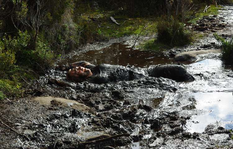 Mud Heaven
