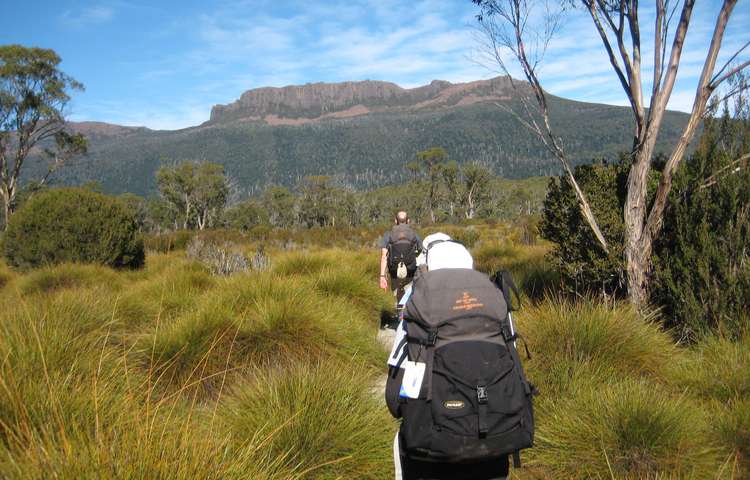 Mt Olympus on the walk to Narcissus Bay.