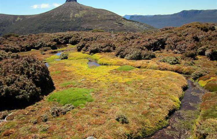 Overland Track 2011
