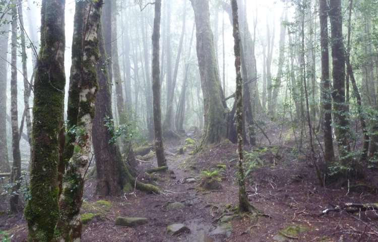 Mystical