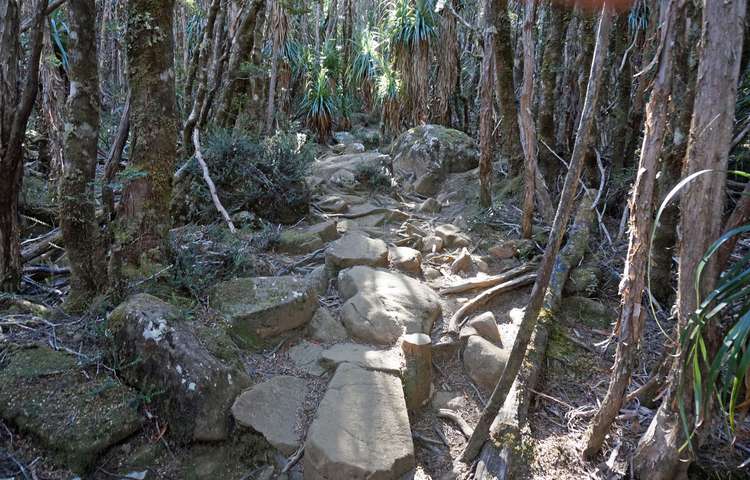 The track