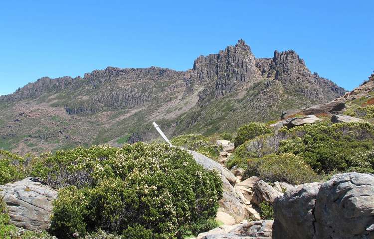 View of Mt Ossa trail