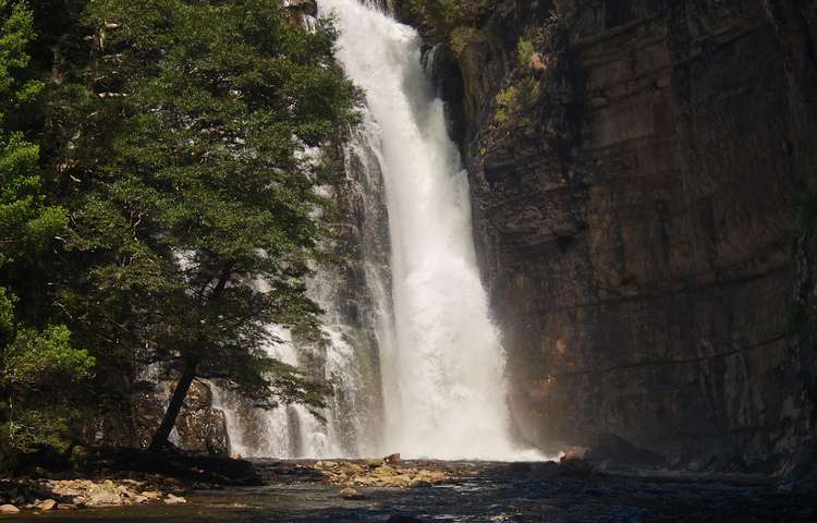 Hartnett falls