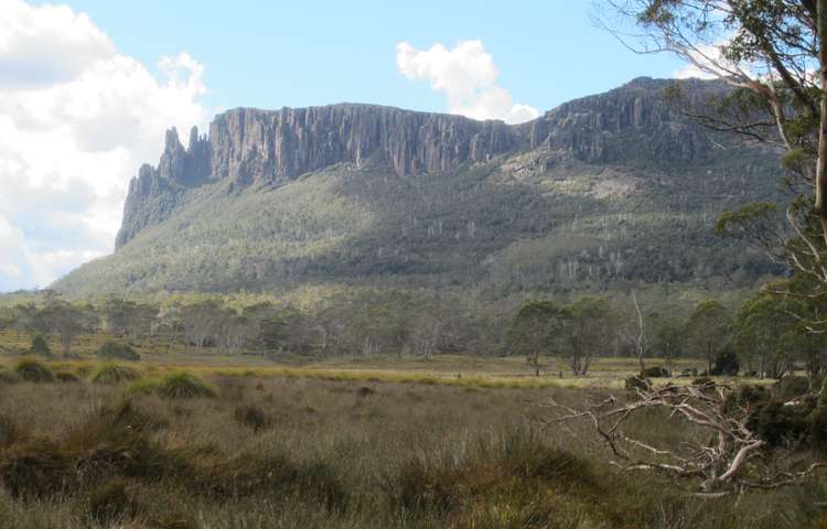 Mt.Oakleigh, Pelion Plains