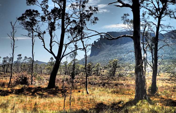 Saying goodbye to Mt. Oakleigh 