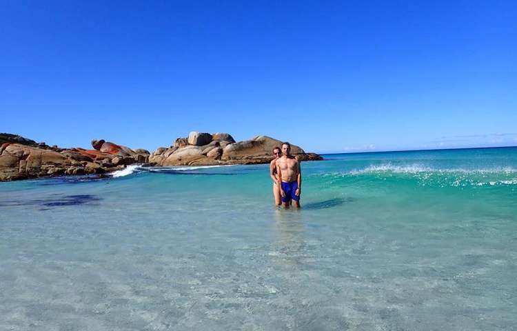 The Swim