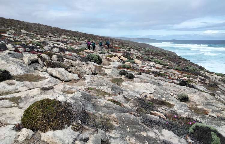 Kangaroo Island Signature Walk