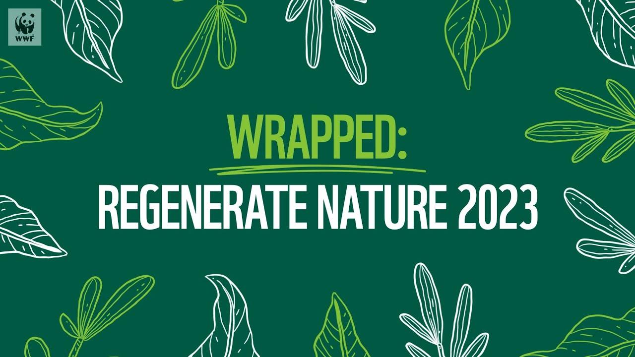 Regenerate Australia's Positive Impact for 2023. Here's what we supported...