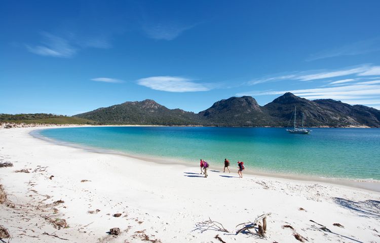 guests walking along beach on Wineglass Bay Sail Walk