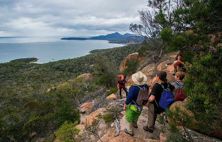 Guide and hikers overlooking Wineglass bay on the walk