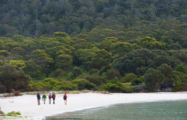 guests walking along the beach in Wineglass Bay