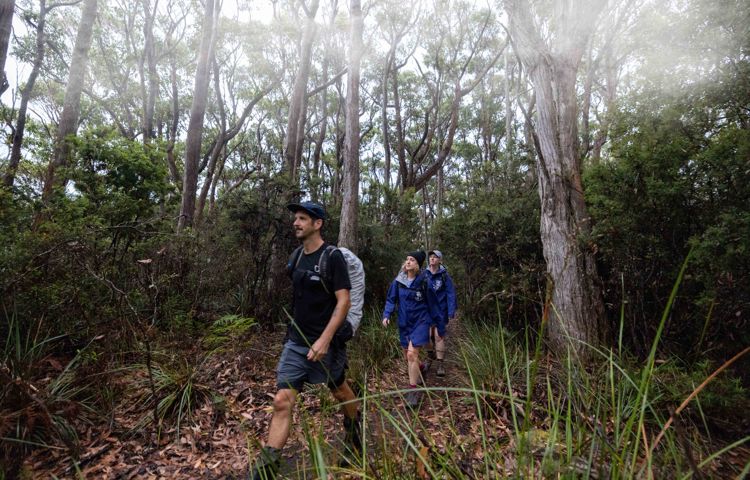 Guests and guides hiking through the forest at Three Capes