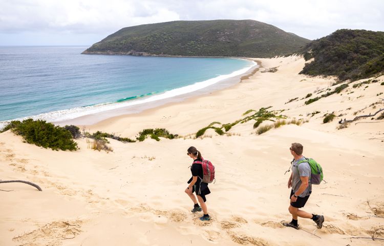 Guests walking along dunes at Three Capes Beach