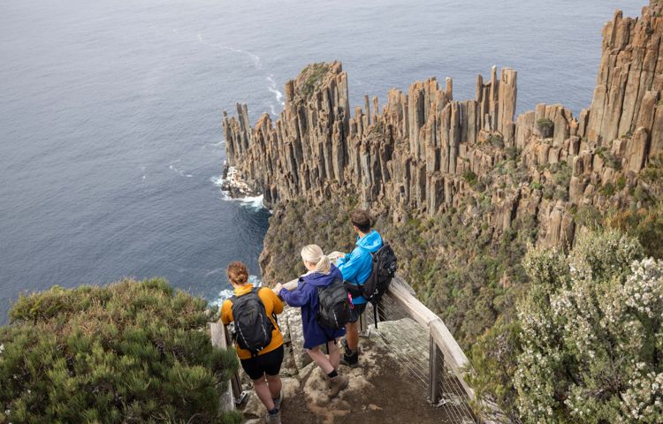 Guests at a lookout overlooking cliffs and the ocean