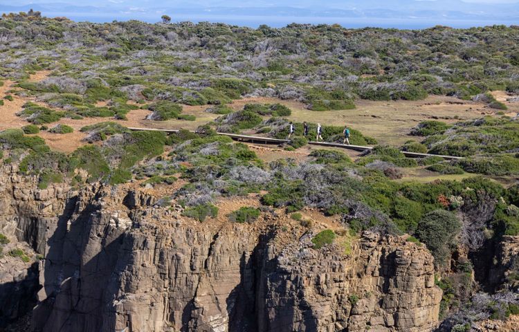 Cliff face and nature at Three Capes
