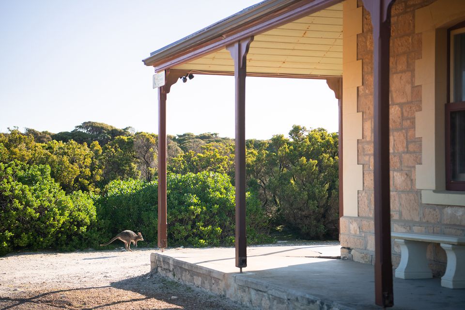 Cottage, Trees, Wombat, path