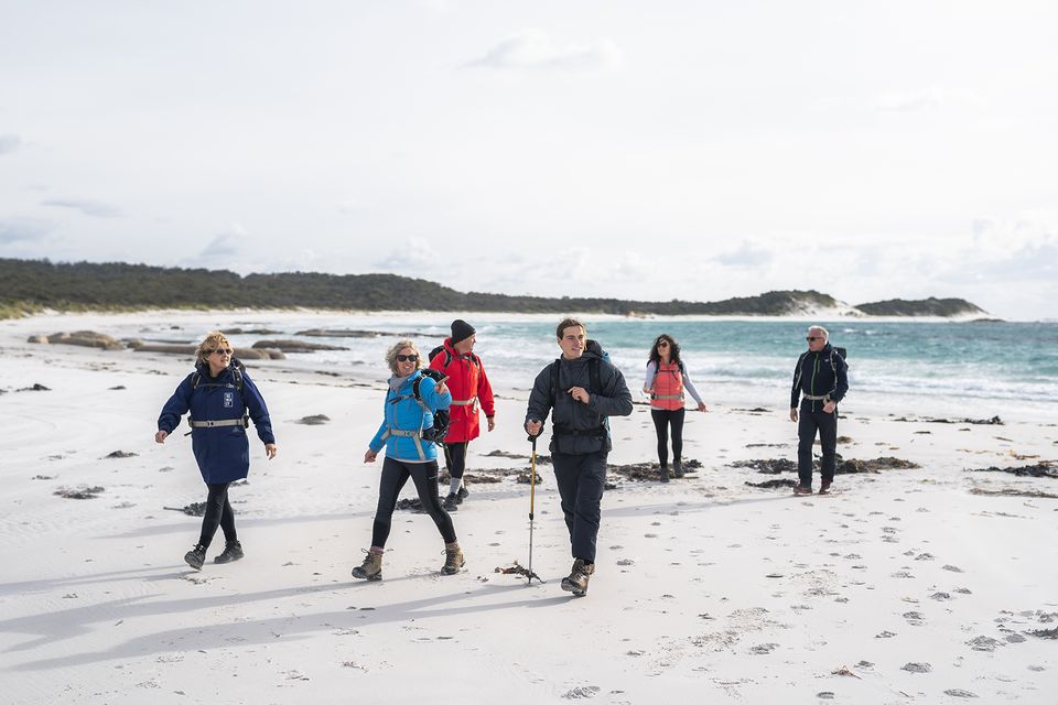 Guided walking Bay of Fires