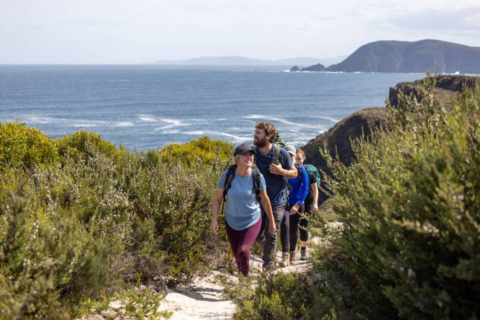 hikers walking through nature on Bruny Island