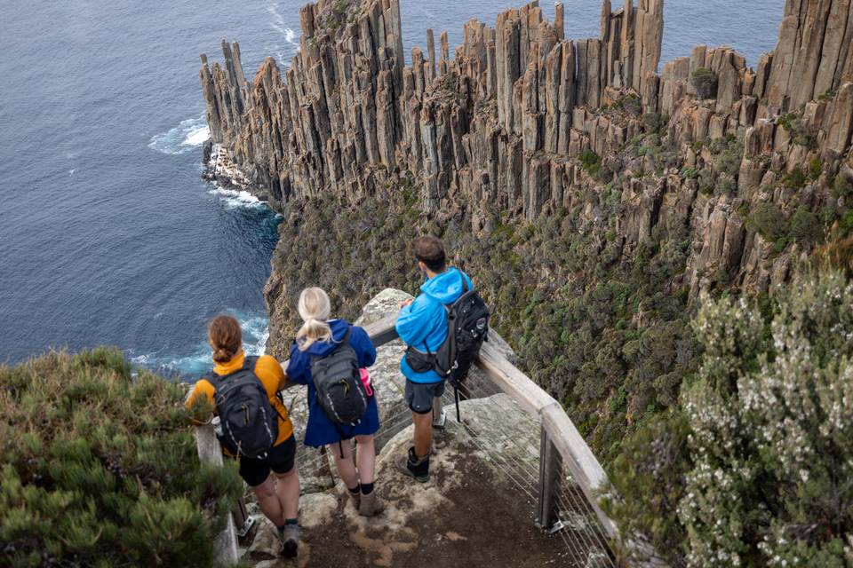 Guests standing on lookout at Three Capes