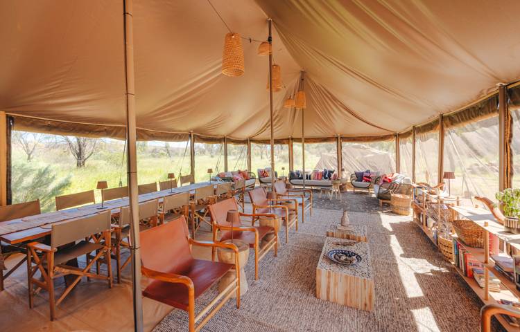 Luxury tent accommodation in Larapinta