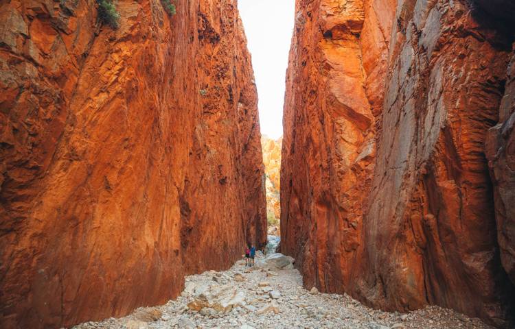 Chewings Range Larapinta trail photo
