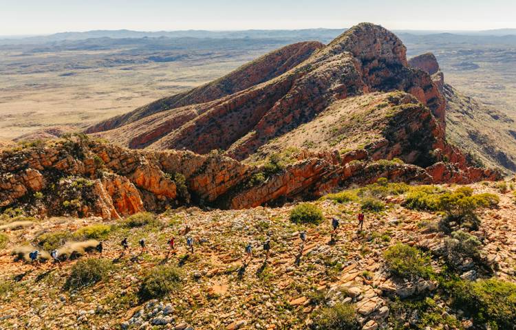 Guests walking through Larapinta Trail