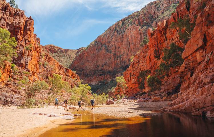 Larapinta Trail nature