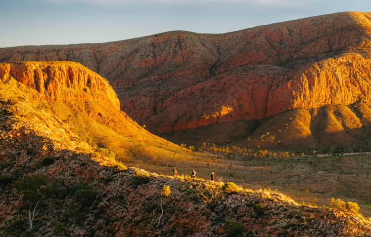 Beautiful mountains on Larapinta Walk