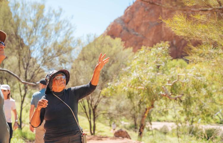 Traditional owners studying surrondings